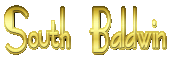 South Baldwin, Logo